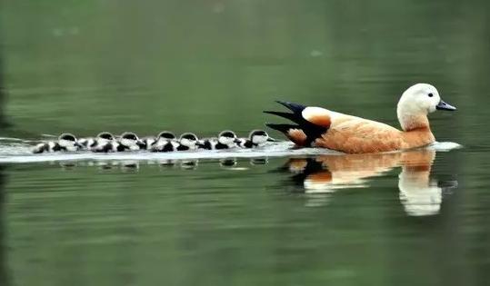 沈阳周边五日游玩景点推荐一下,沈阳免费景点大集合
