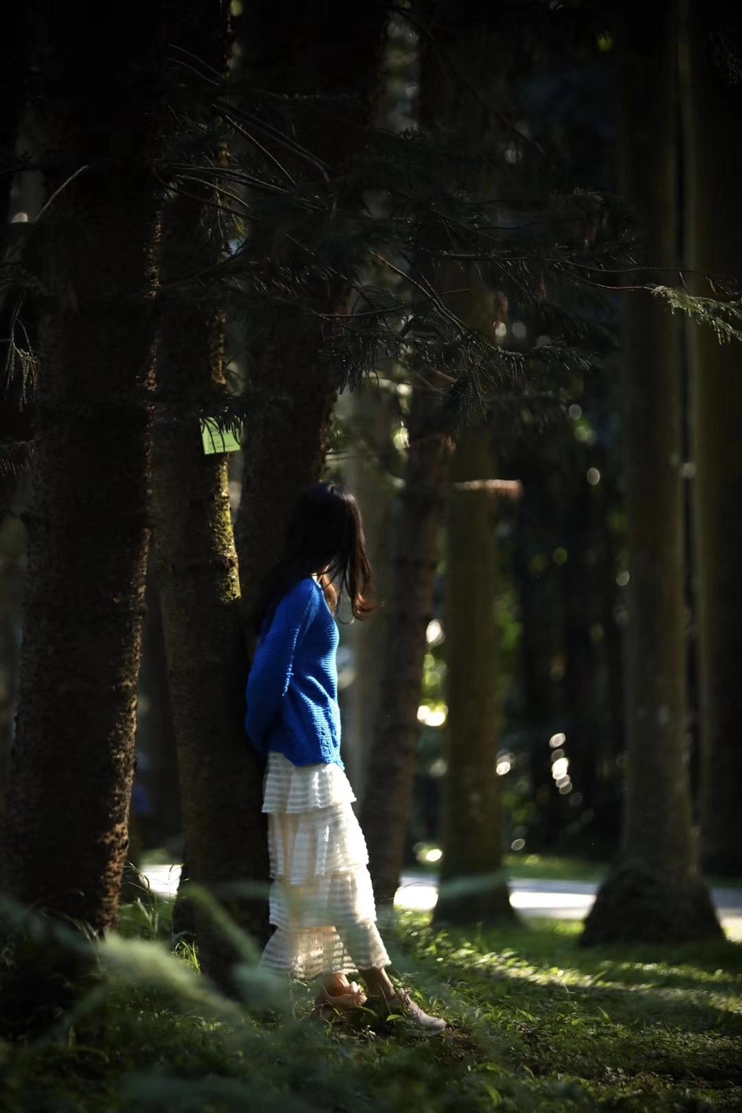 新高尔夫8优缺点,高尔夫优缺点