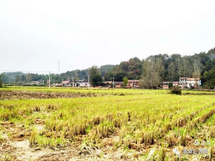 最美大浪山脚下蜂洞冲随州作者:王从伦