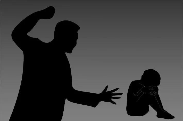 郑仁虐待事件,郑仁被养母录下800条虐待证据