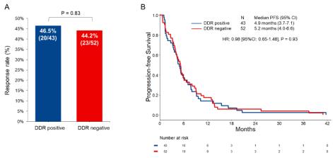 DNA损伤修复基因突变好免疫治疗关系