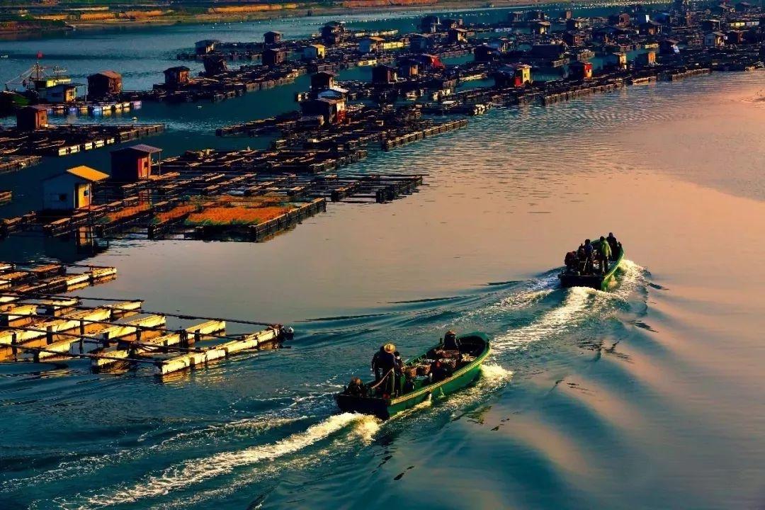 美美美！海南这几家新增的“金宿级”民宿，你想要的诗和远方都有