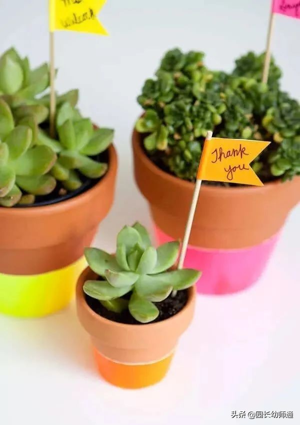 刚进幼儿园教师节送老师什么礼物,小学教师节送老师什么礼物最合适