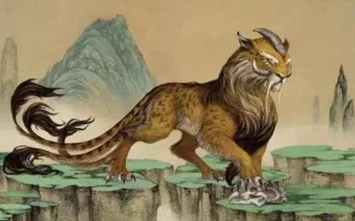 三千年前的野生动物保护者这样说——老魏读《诗》之《驺虞》