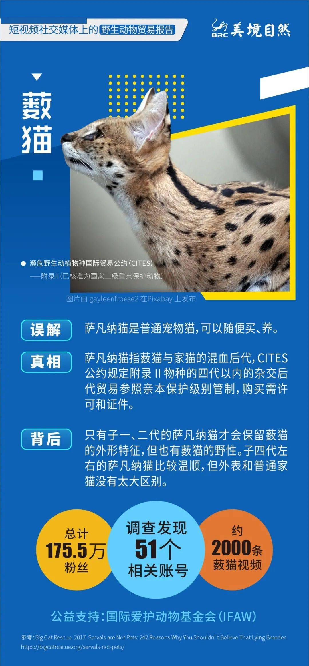 短视频以及电商生态研究报告,短视频与直播电商行业调研报告