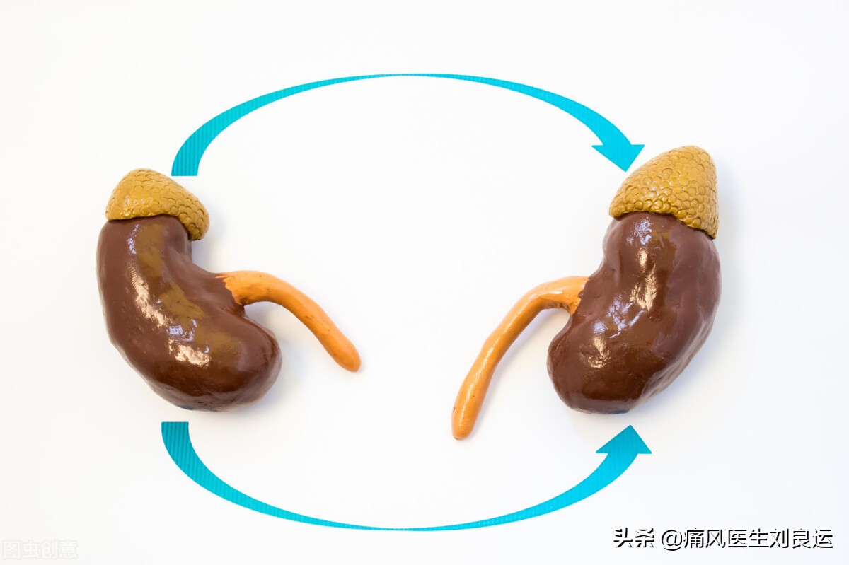 痛风引起的肌酐高怎么治疗,痛风肌酐高需要看肾内科吗