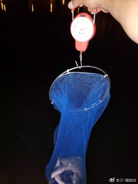 本汀金迦潘求败7米2,本汀金迦潘引领实测