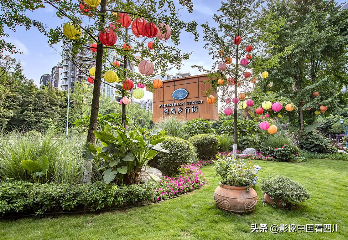 成都最美榕树街,成都鹭岛步行街商铺出售