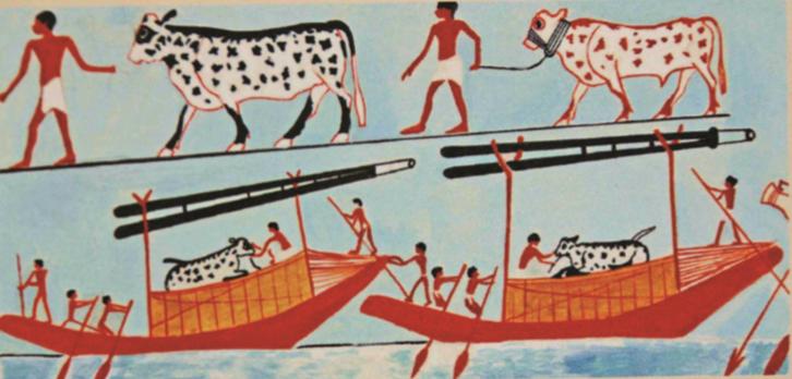 埃及人与尼罗河,话说世界