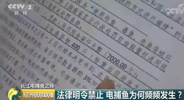 刑法规定的禁止使用捕鱼方法,非法捕鱼为什么屡禁不止