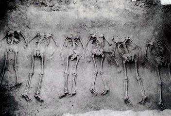 中国最能打的少数民族,为什么少数民族取得发展