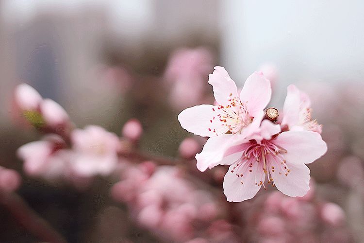 开怀一笑清除烦恼,开怀一笑无烦恼完整版