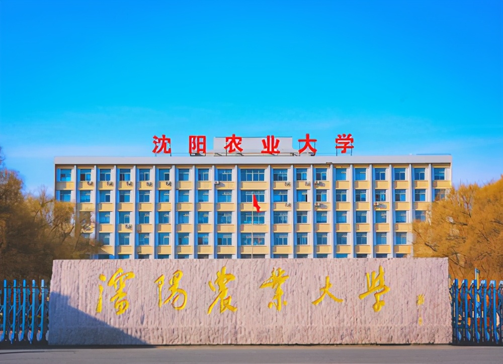 辽宁省排名前十所高校,辽宁最好的十所高校