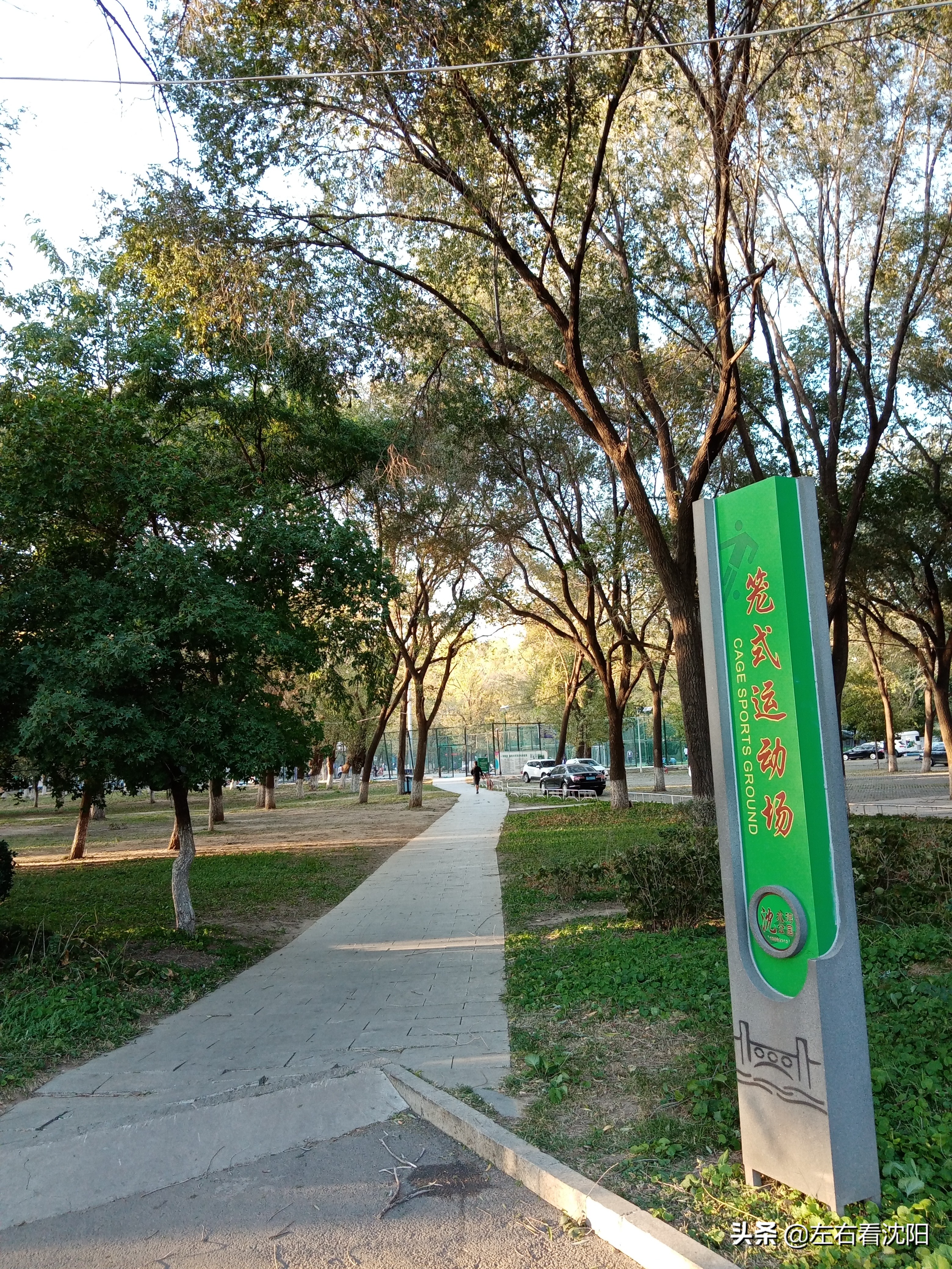 沈阳沈水湾公园看日出,沈阳浑河看海的地方