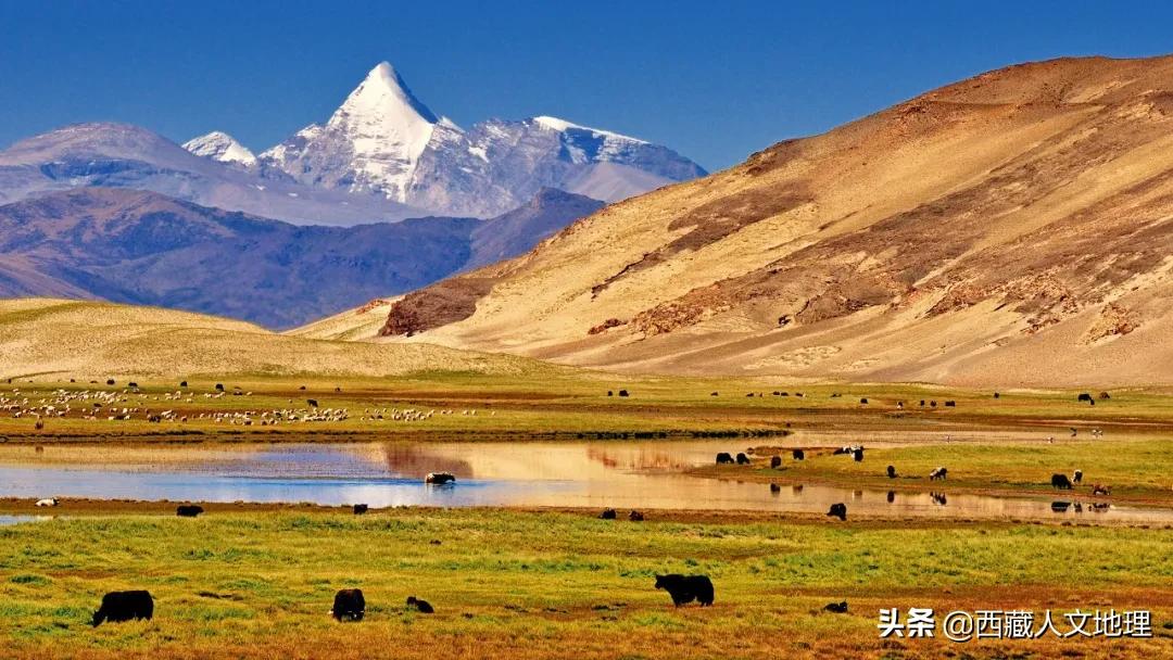 8次深入喜马拉雅，著名藏学家朱塞佩·杜齐的阿里探险之旅