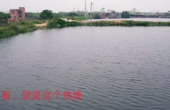 《五光十色》脱下品如衣服的爱莉和走边边的紫菱(一本正经搞笑)