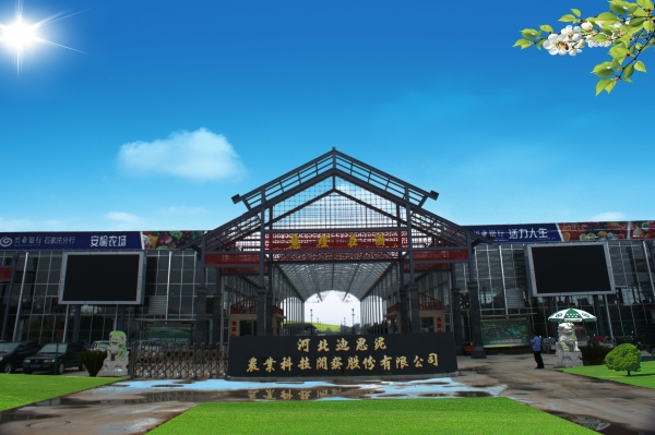 河北栾城古镇旅游攻略,石家庄栾城区附近景点