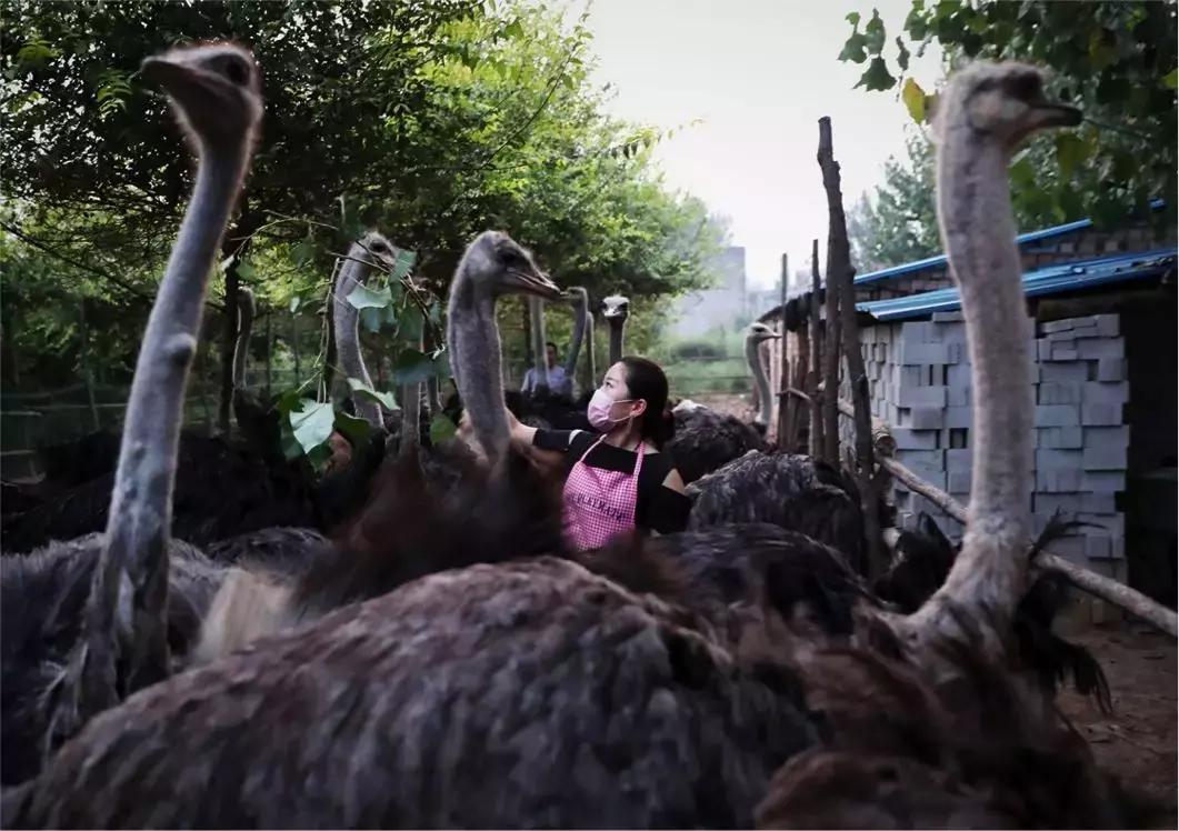 互联网改变面孔,互联网温暖的一面