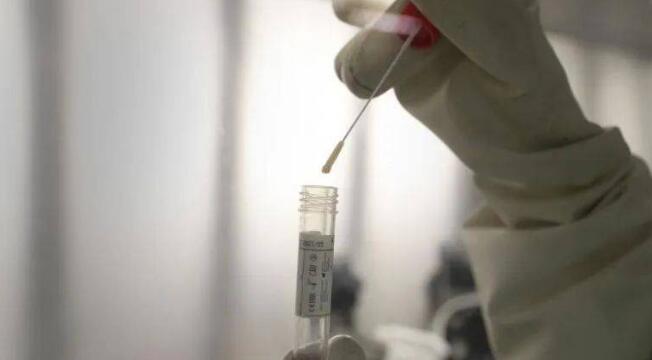 中国公民去新加坡最新规定,中国公民到新加坡注意事项