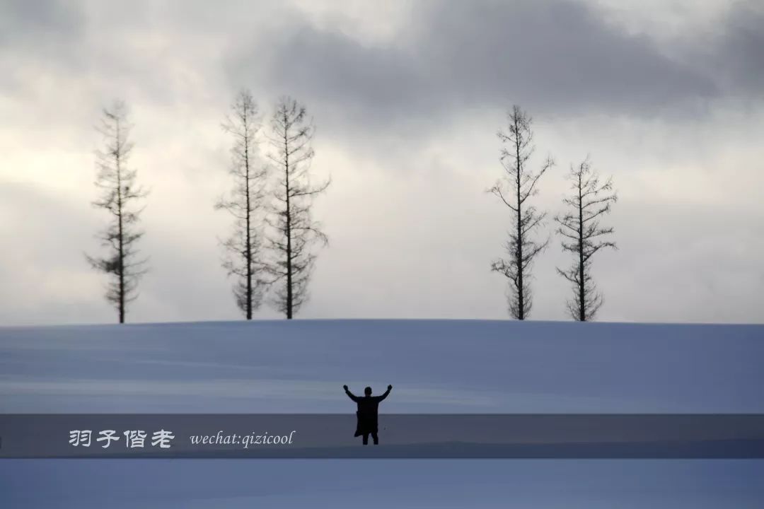 日本10天自由行费用北海道,东京北海道5日自由行攻略