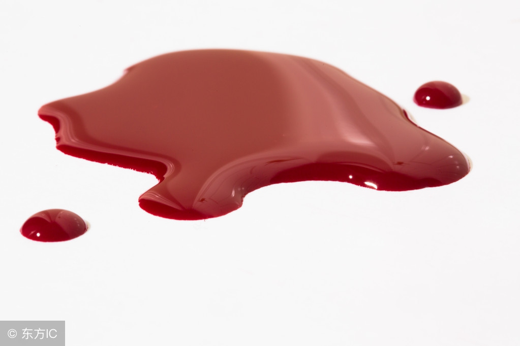 精心照料8天终于捡回狗命,40天狗细小救活几率