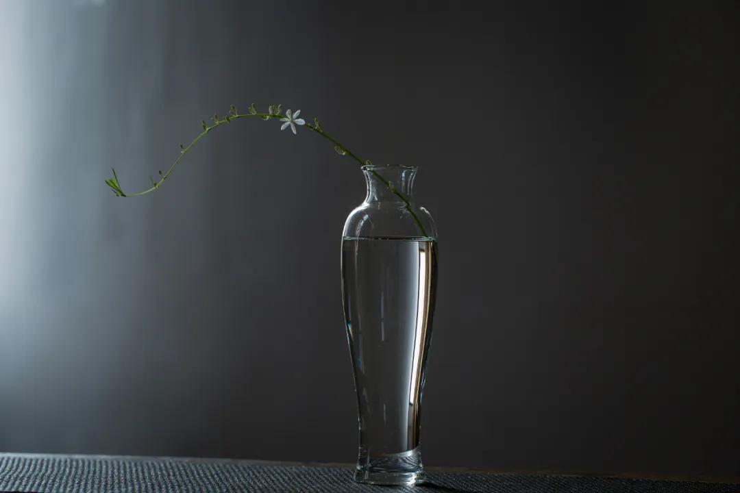 玻璃花器适用于什么花材,好看的玻璃花器