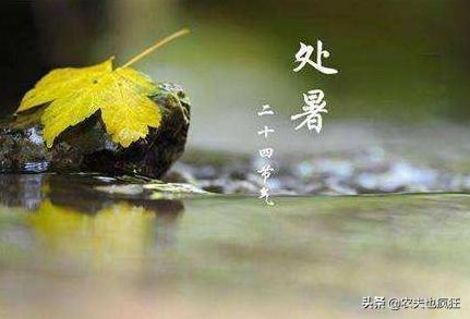 处暑早处暑好还是晚处暑好,处暑下雨愁死人啥意思