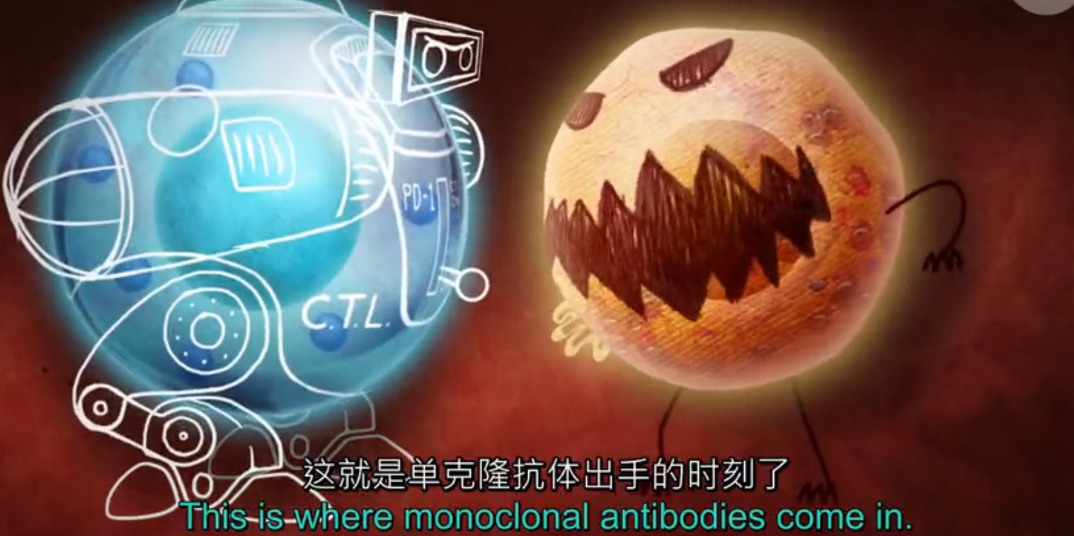 pd1肿瘤免疫治疗现状,什么是pd1免疫治疗费用