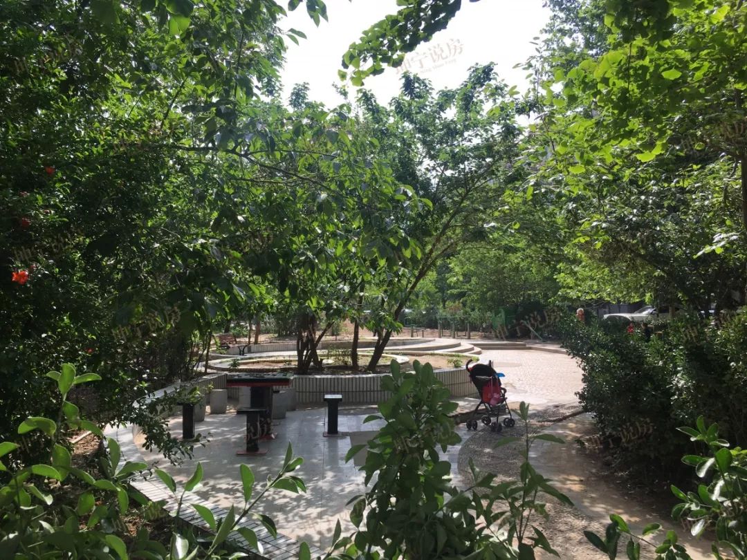 实探学区房,实探一线学区房