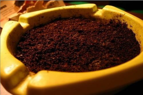 冰箱异味大教你冰箱除味小妙招,冰箱维修后冰箱内有异味