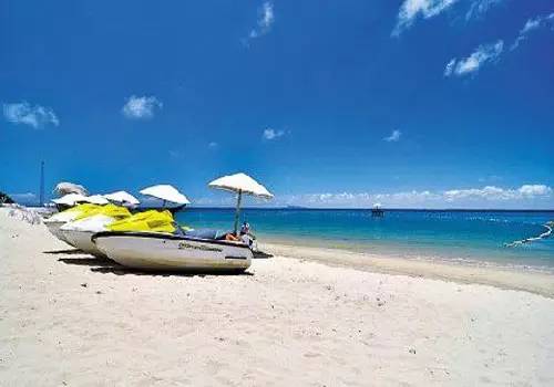 史上最全面的海鲜大咖,史上最全海鲜视频