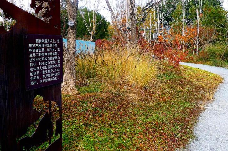 北京市国家级森林公园有哪些,北京市新街口城市森林公园