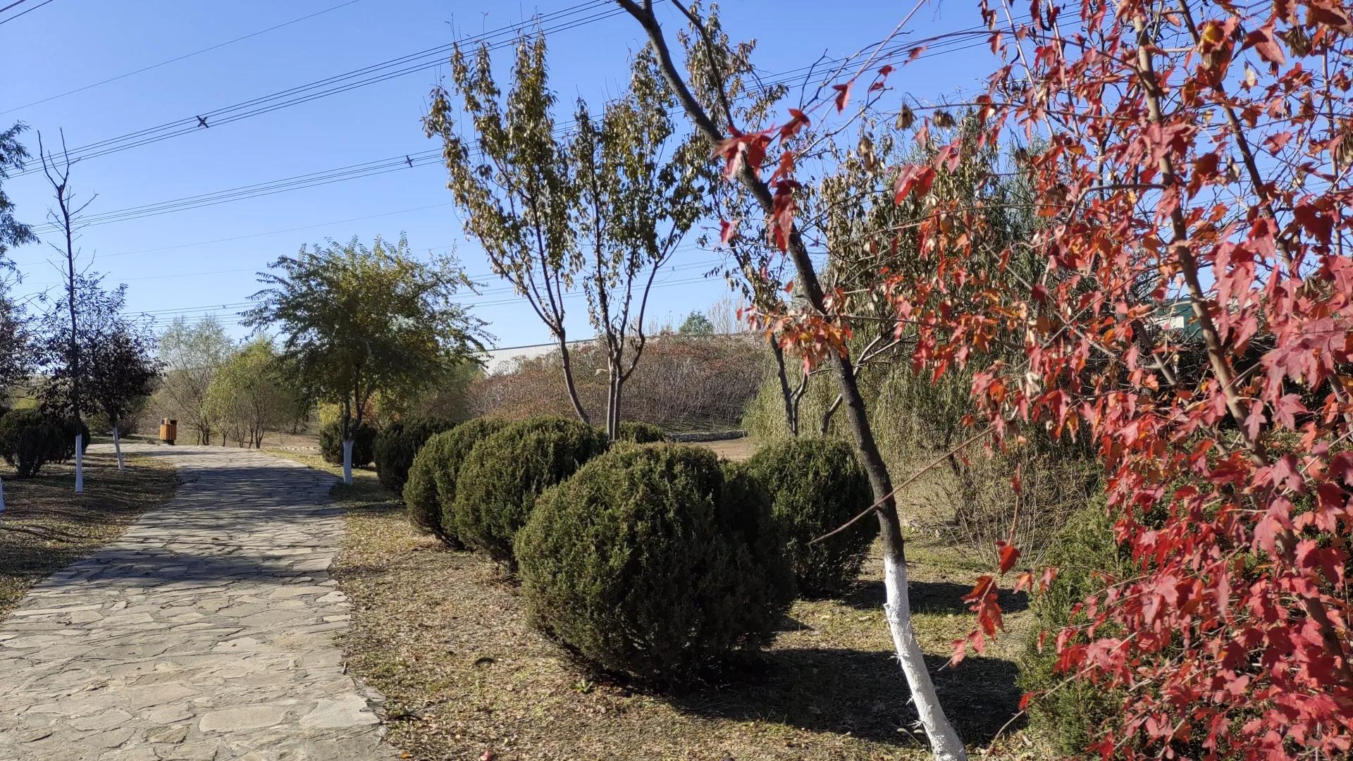 沈阳远大湿地公园,沈阳七星湿地公园