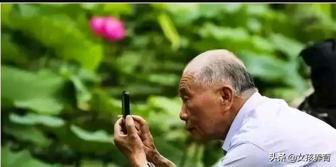 活地图老爸,活地图老爸影评