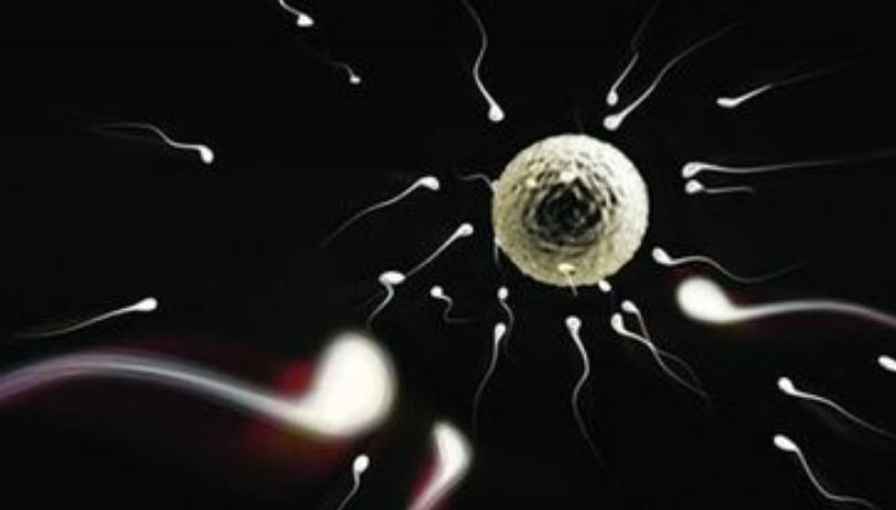 “精子”进入女人体内后，没有受精的都去了哪里？看完或许会明白