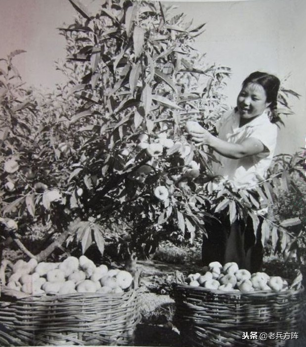 五十年代至七十年代人民公社,6070年代人民公社