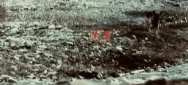 十年前被骂的电影有哪些,当年被人骂烂的电影