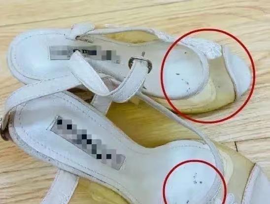 海菱与伊能静,海菱为何要举报伊能静