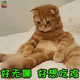 宠物吃生骨肉没有寄生虫么,宠物寄生虫对身体有害吗