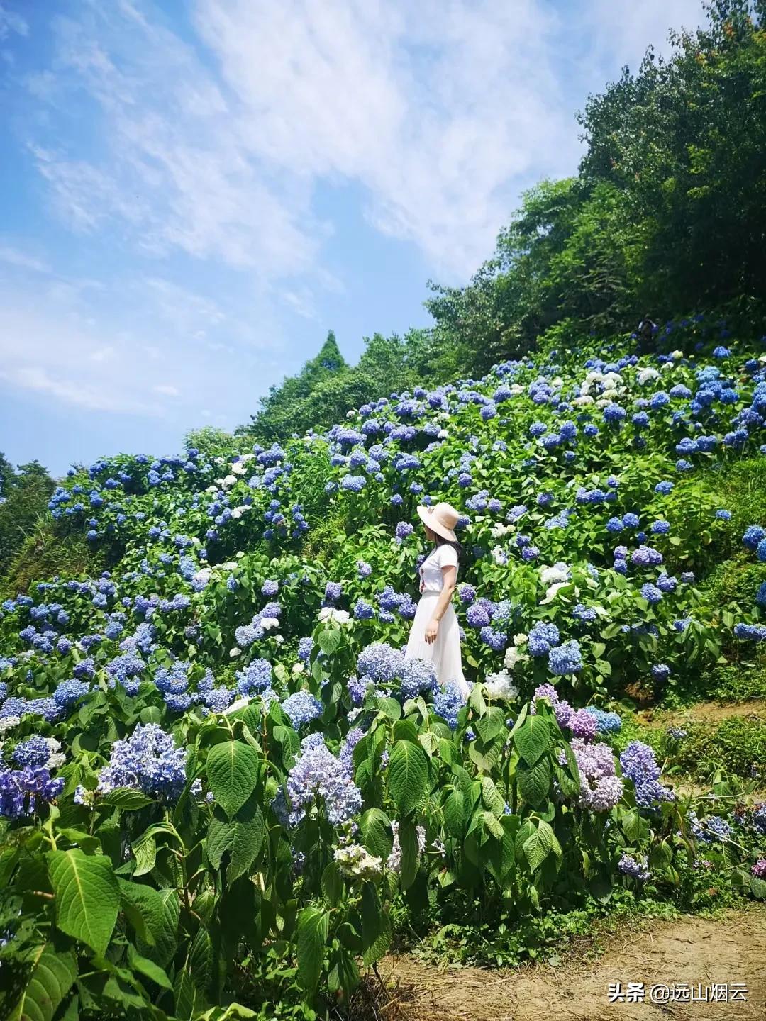 华为自拍杆使用教程视频,爱酷者自拍杆怎么使用