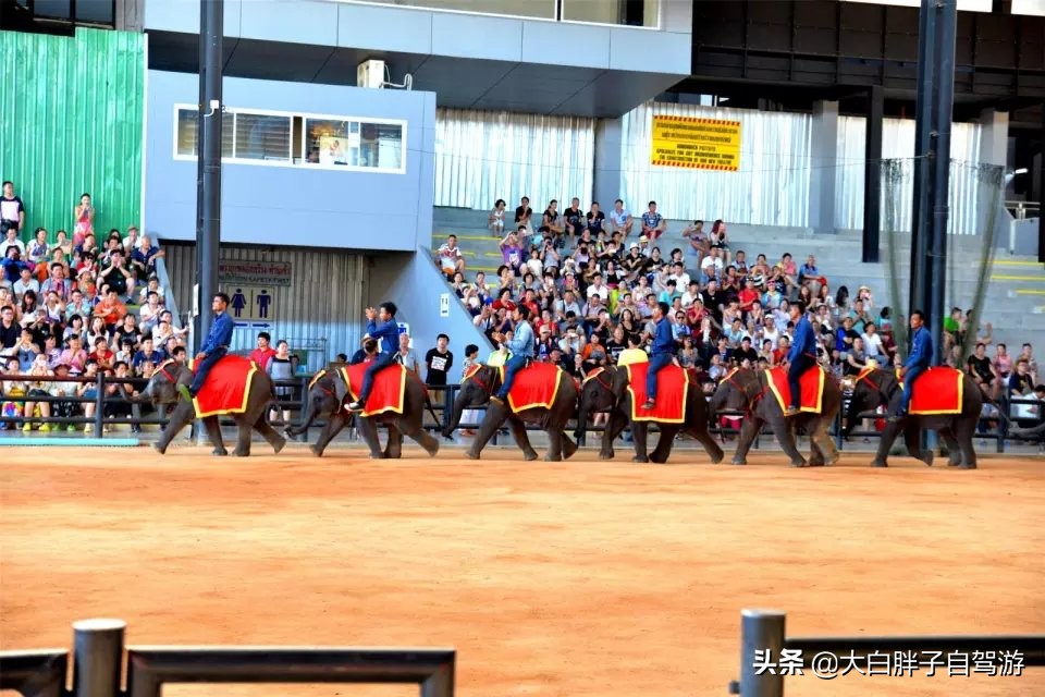 泰国风情之旅完整版,泰国风情记