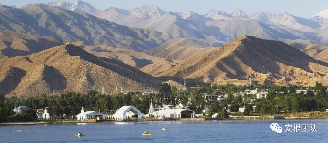 中亚茶叶需求,中亚的茶叶生意怎么样