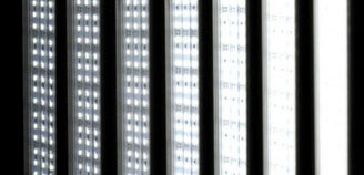 养鱼混养注意事项大全图解,新手养鱼混养推荐