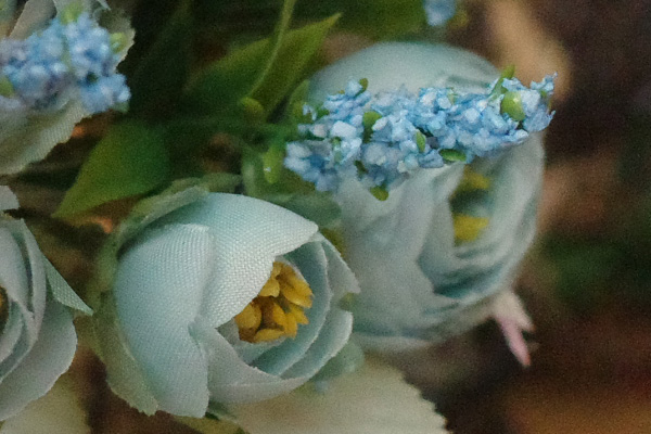 售价6199元送好礼理光GRIII画质体验及购买建议