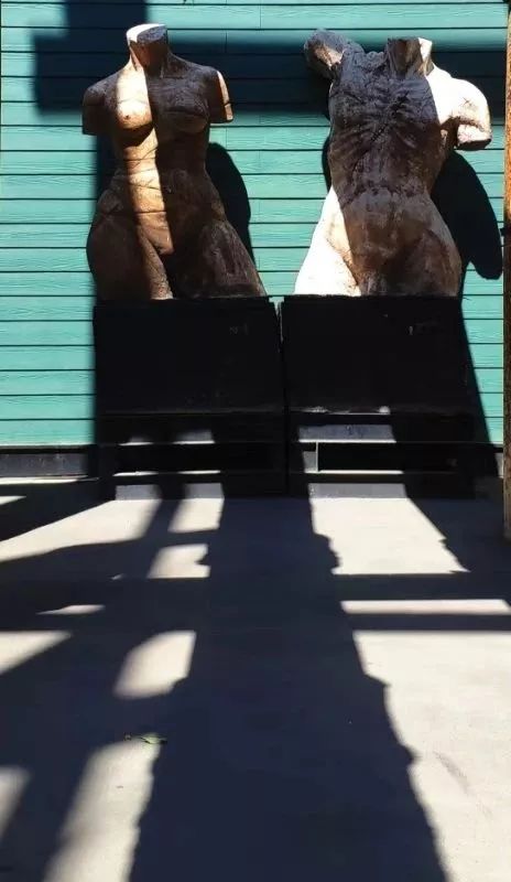 赞别人拍的照片,你用手机拍过哪些最美的照片