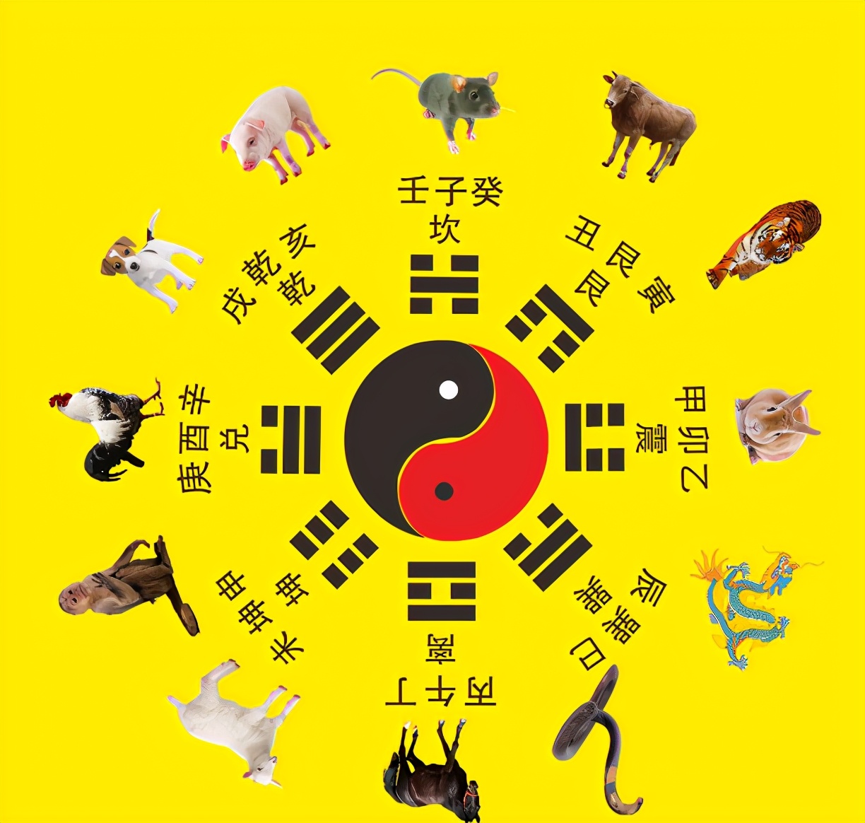 十二生肖牛天干地支,农历辛丑年为十二生肖牛年