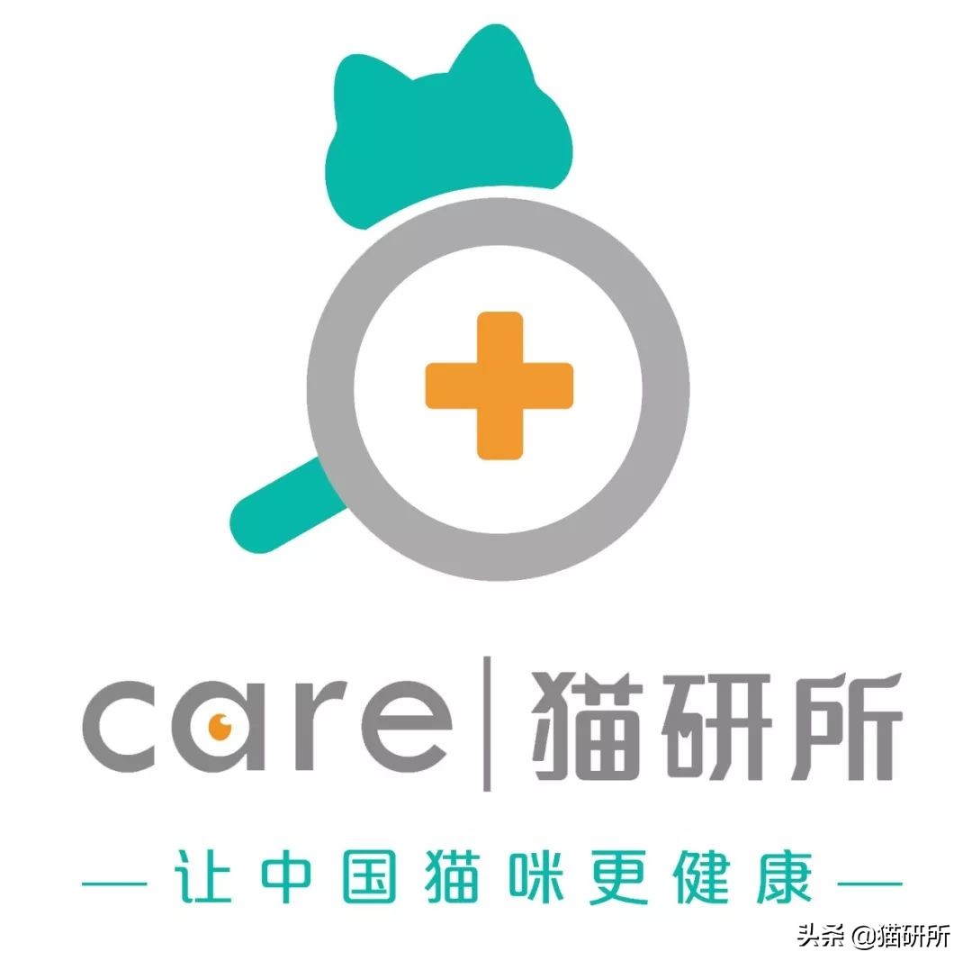 如何挑选一只健康的小猫咪,怎样快速得到小猫咪