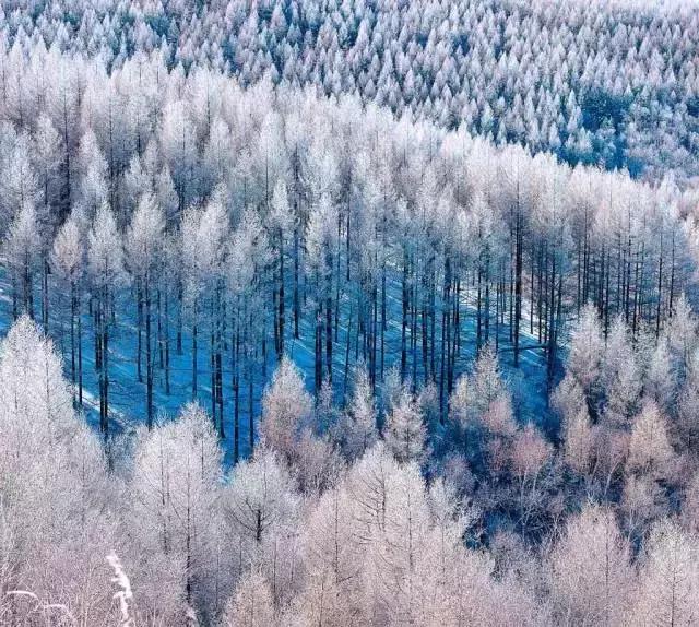 雾凇之美宛若仙境,连云港花果山雾凇美得像仙境