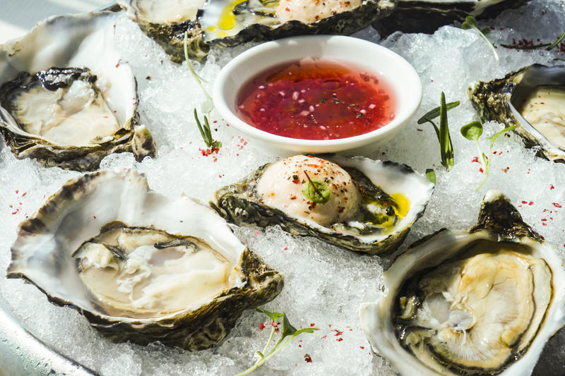 从天空到海洋到大地的视频,从天空到海底绘本