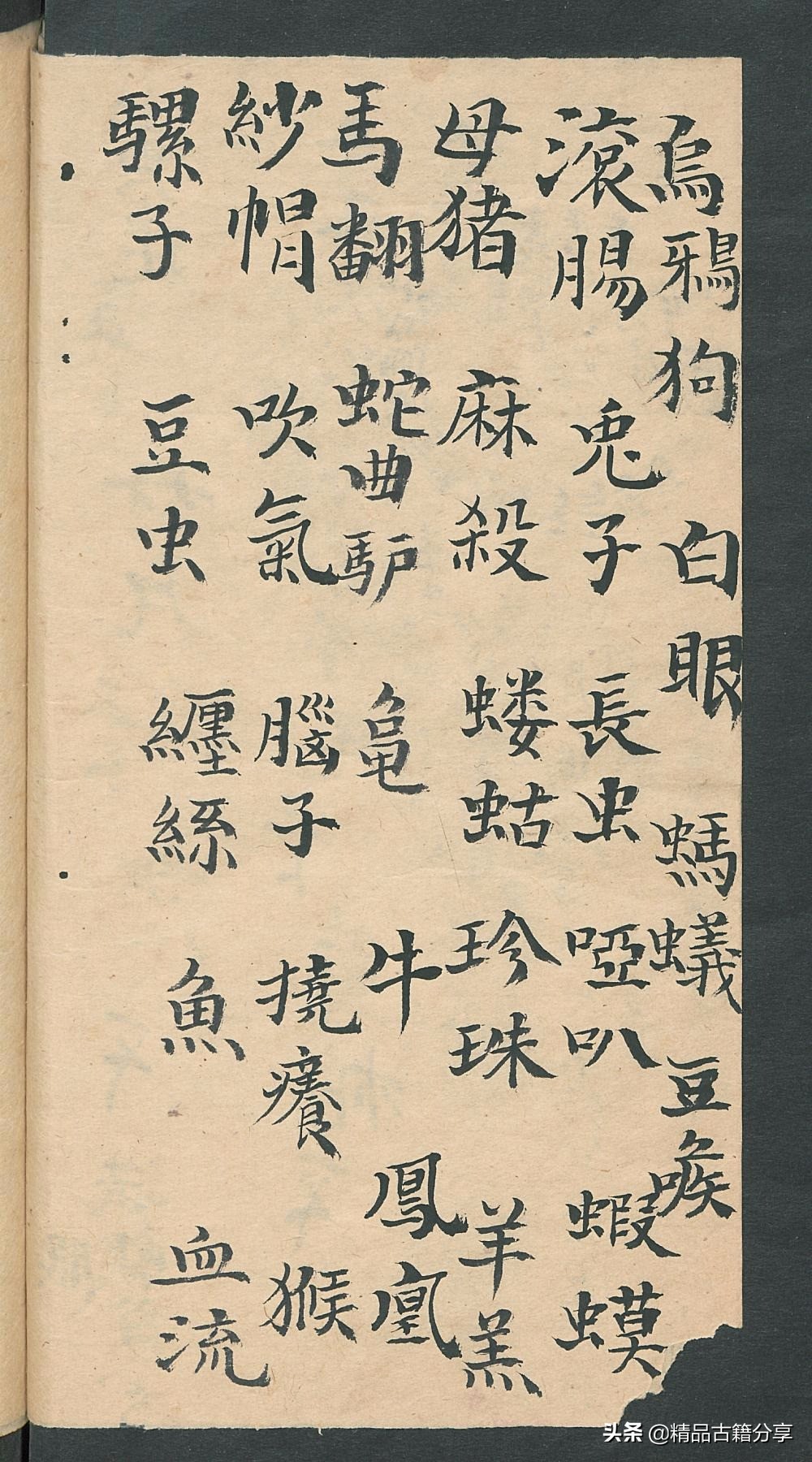 民间中医古籍书籍大全,民间看病书